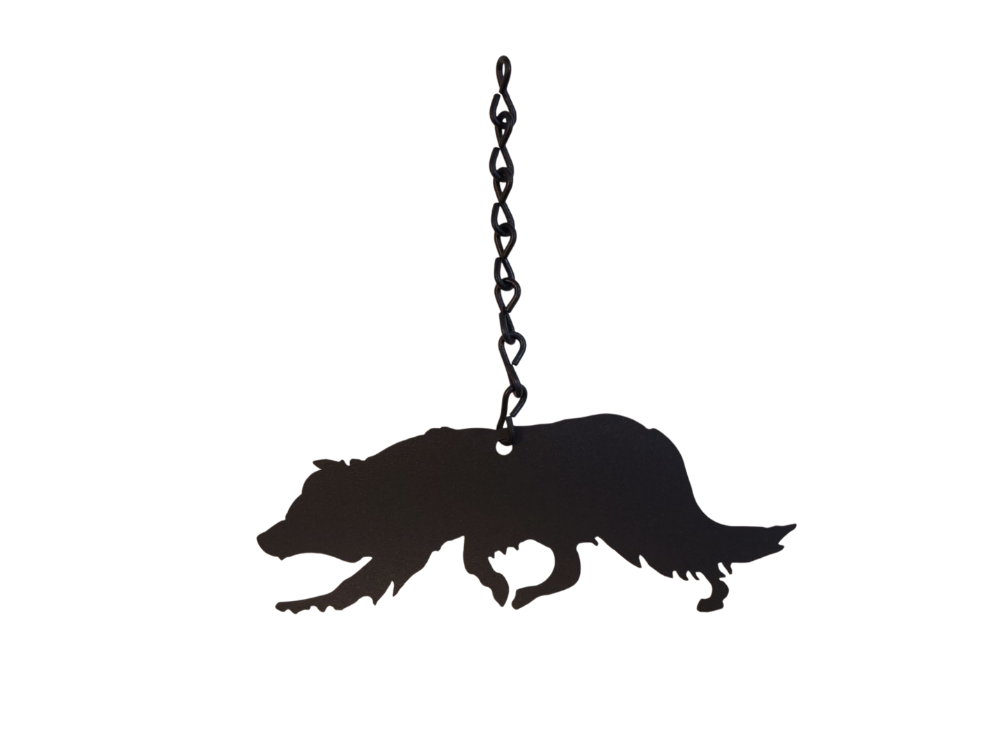 Windcatcher – Border Collie