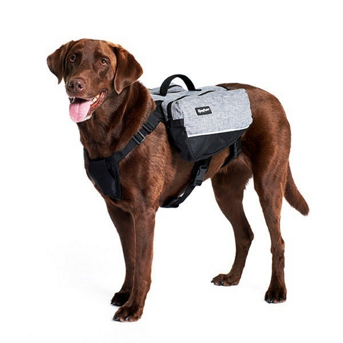 Dog Backpack – Grey
