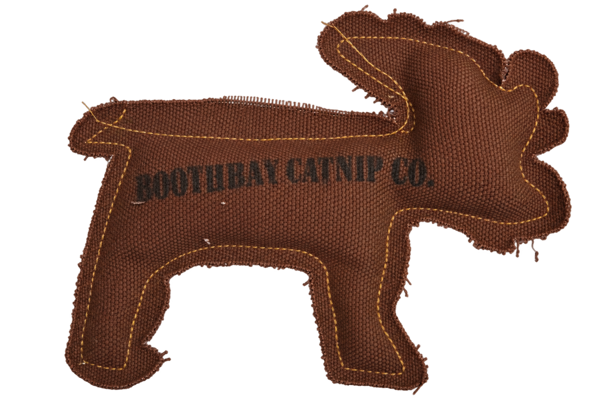 CLEARANCE - Catnip Toy - Boothbay Harbor - Brown Moose