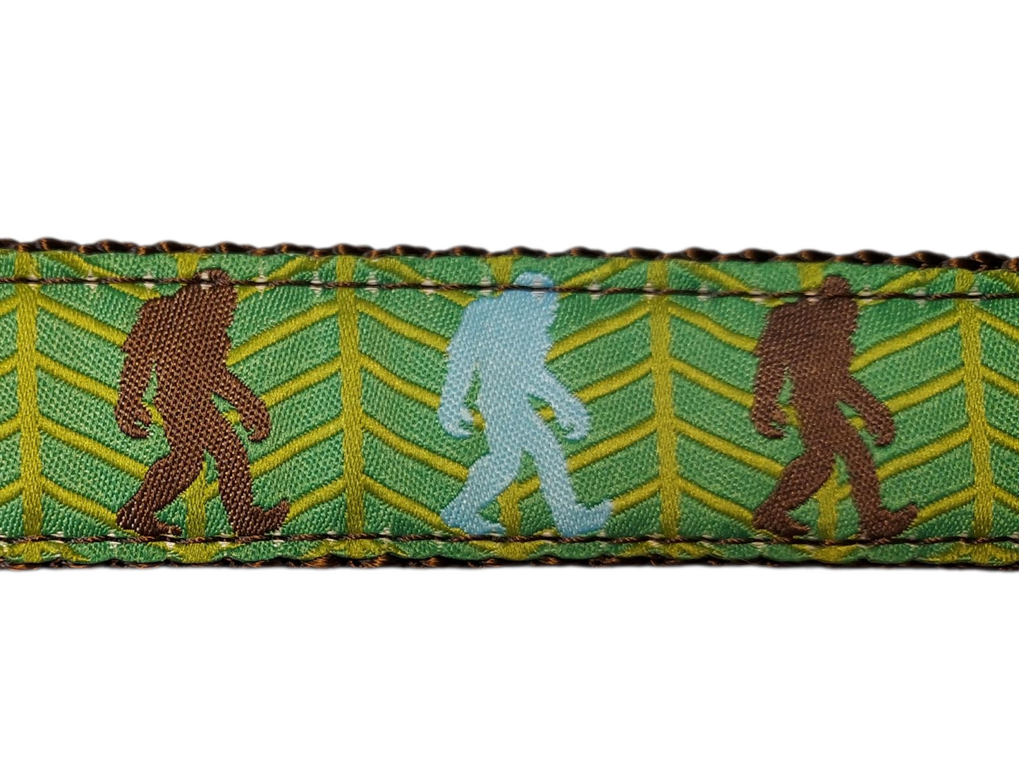 1” x 6ft Ribbon Dog Leash – Bigfoot