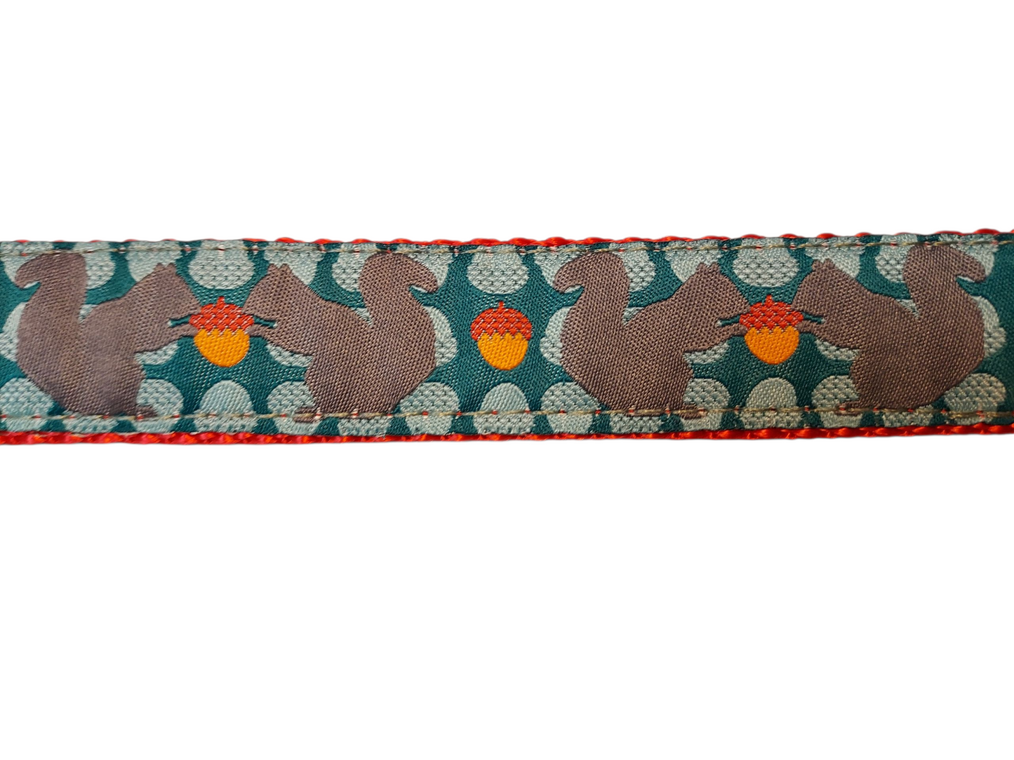 1” x 6ft Ribbon Dog Leash – Squirrelly