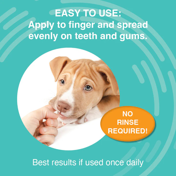 Dental Antimicrobial Gel - 4oz