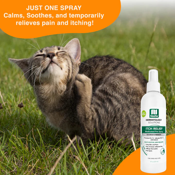 Anti Itch Spray - 8oz