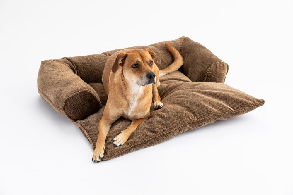 Doggy Daybed