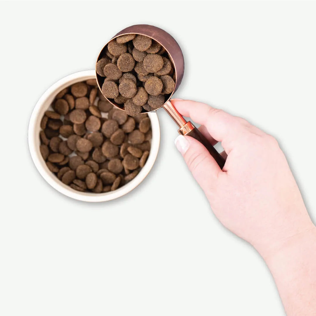 Earthborn Dry Dog Food - Pollock - 25lb