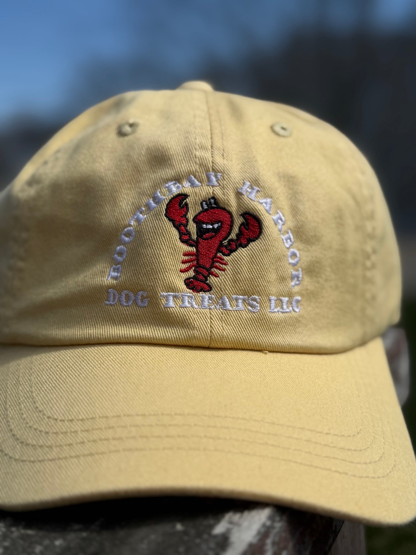 Close up of Khaki Boothbay Harbor Dog Treats dad hat with embroidered red lobster logo.