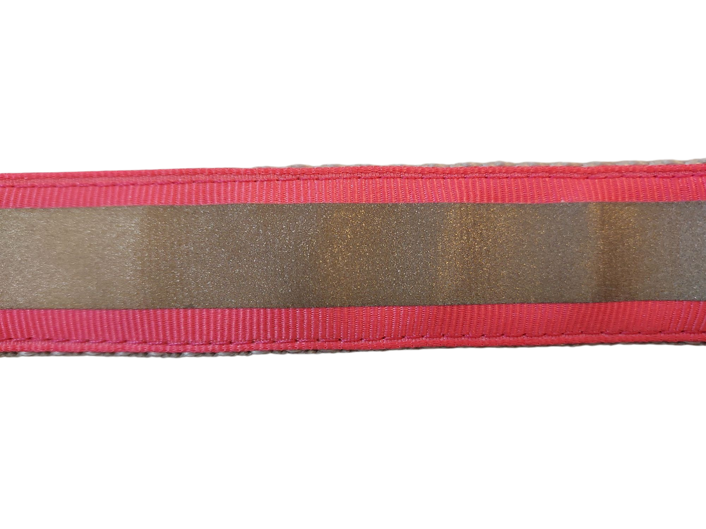 Hot Pink Reflective Dog Collar