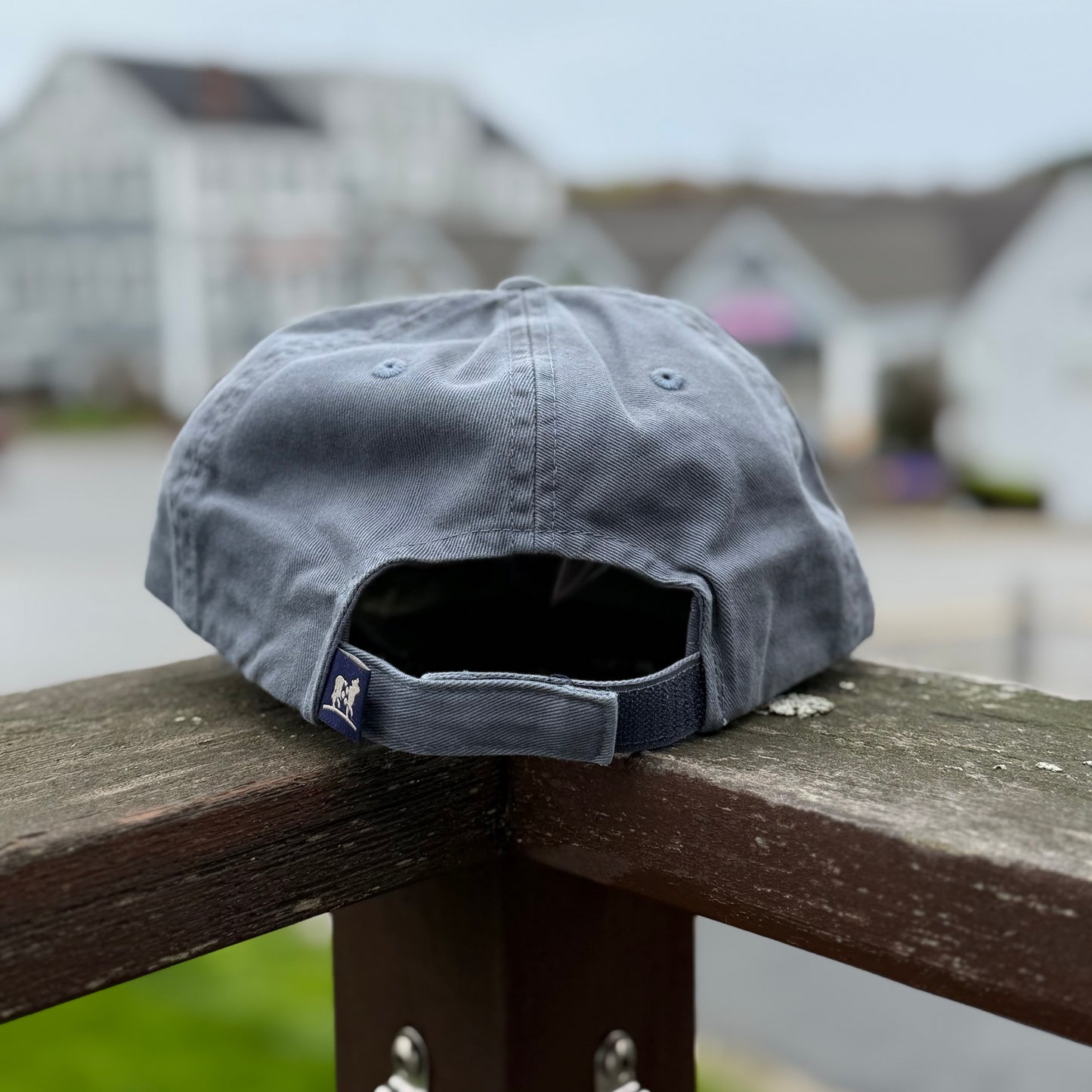 Back of the Slate blue Belted Cow dad hat.