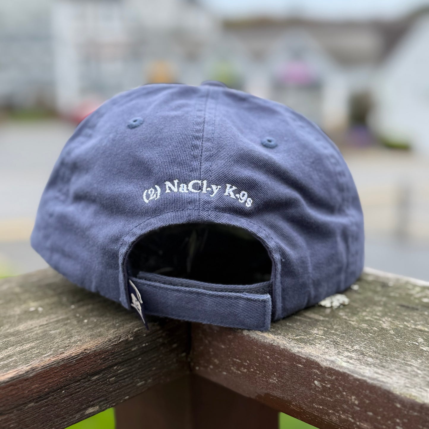 Blue cap with 'NaCl-y K9s' logo on a wooden surface outdoors