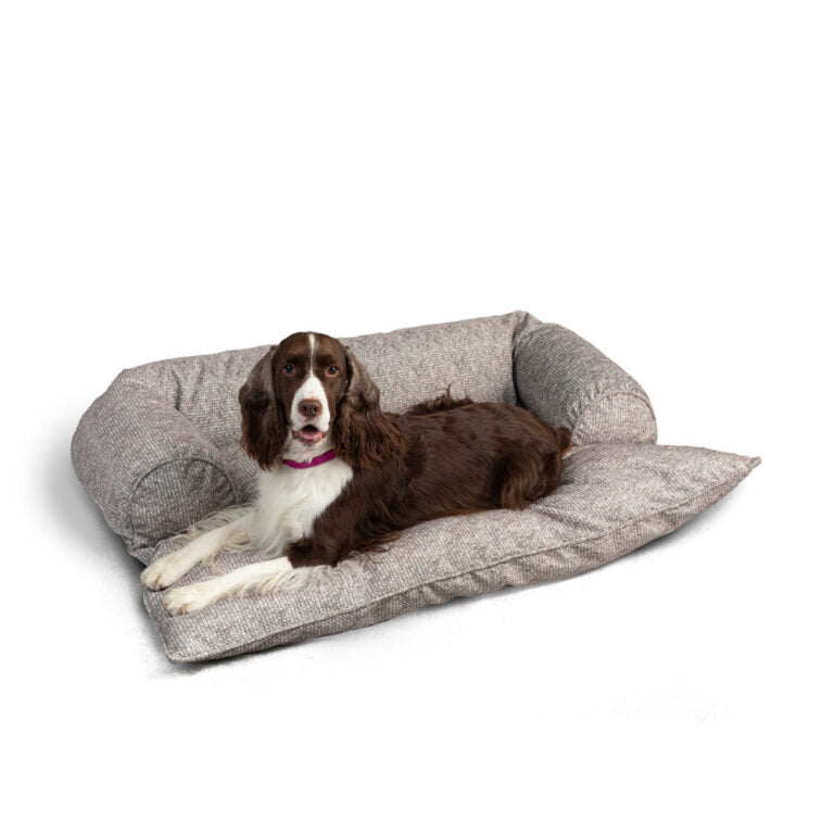 Doggy Daybed
