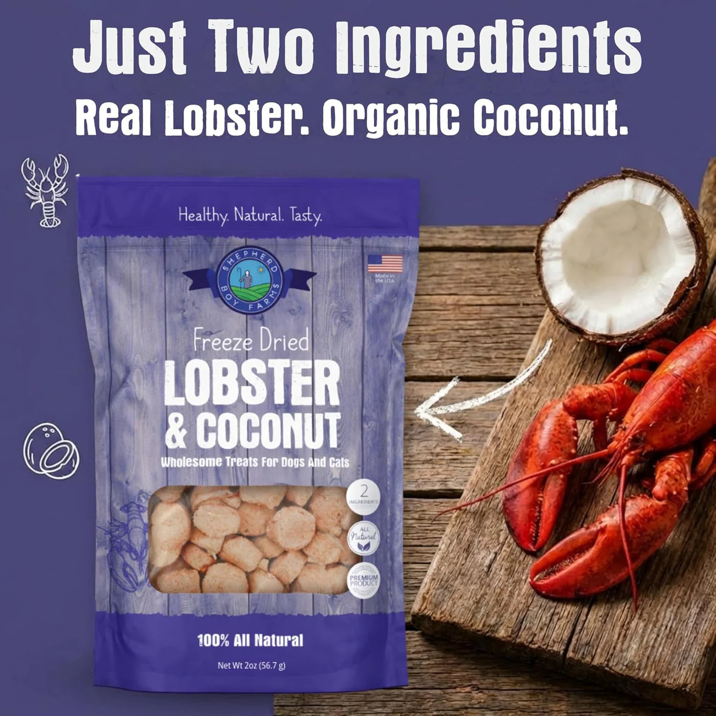 Freeze Dried Treats - Lobster & Coconut