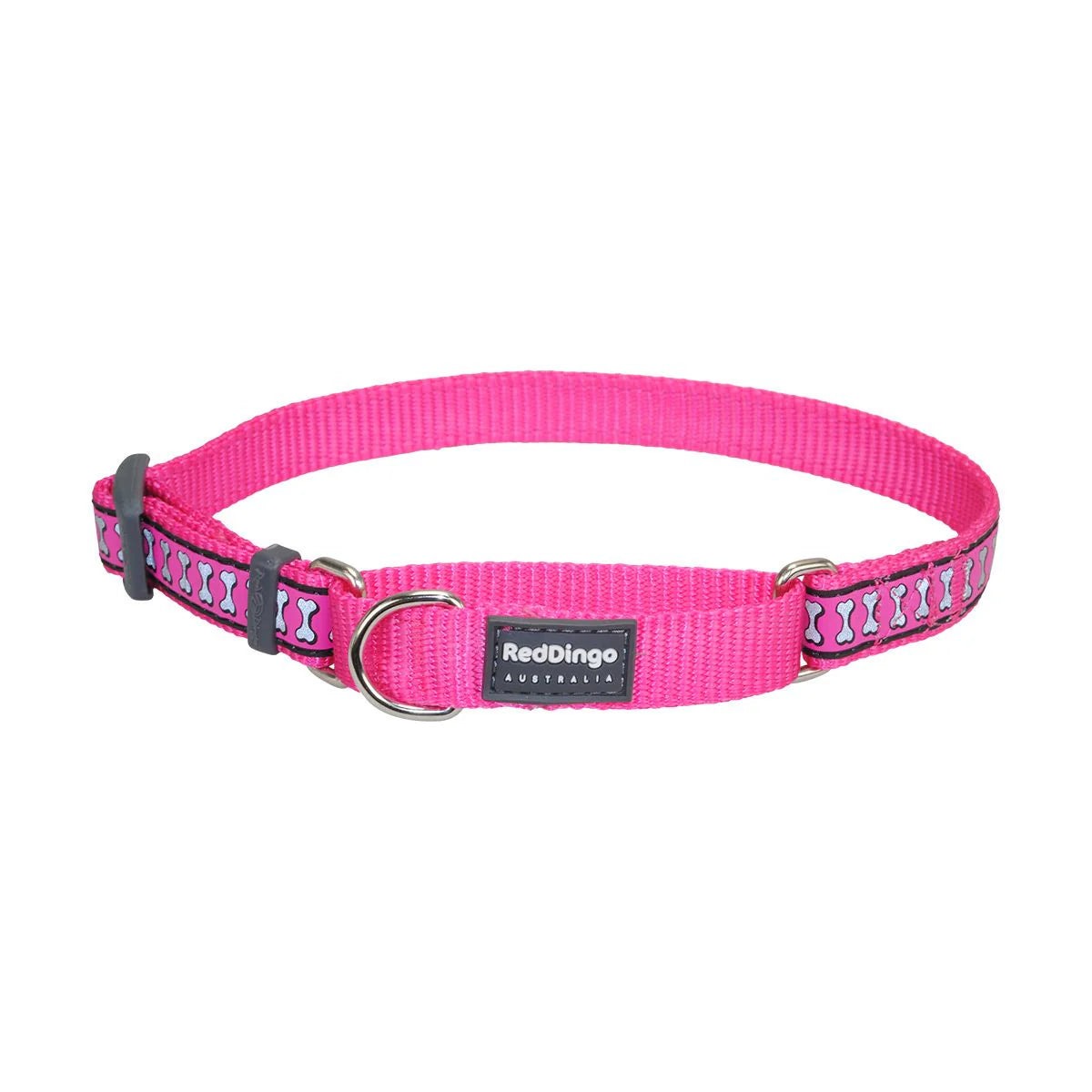 25mm Martingale Dog Collar - Large