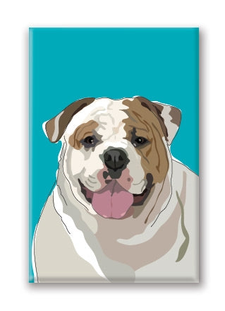 Magnet – English Bulldog (3 Magnets)
