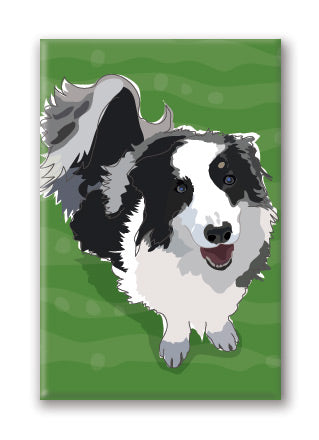 Magnet – Border Collie (3 Magnets)