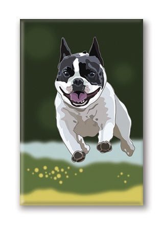 Magnet – Boston Terrier (4 Magnets)