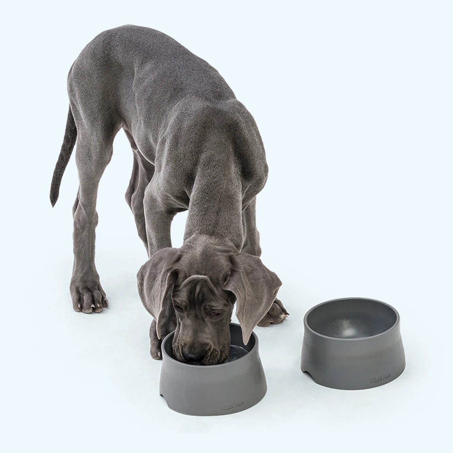 No Slip Dog Bowl