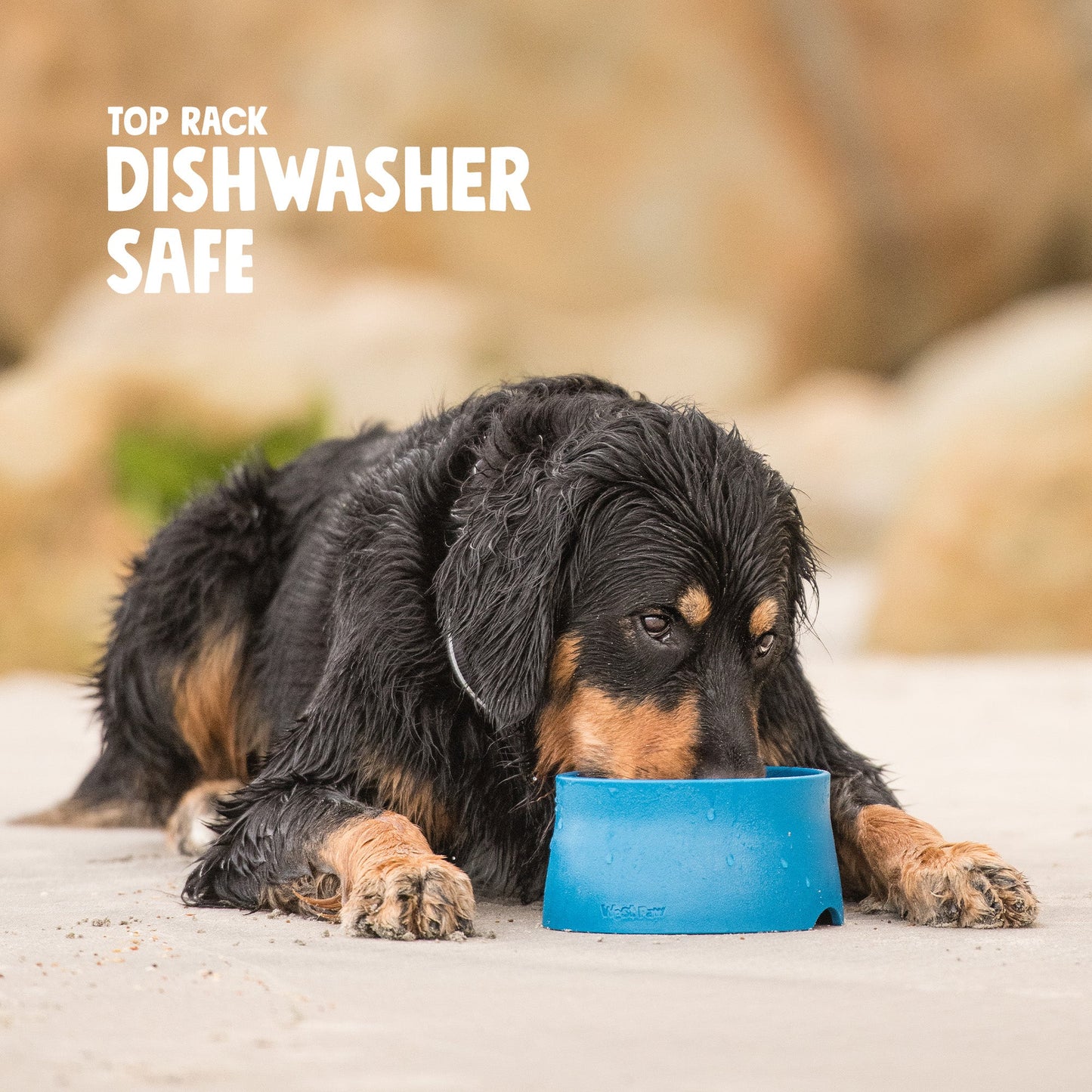 No Slip Dog Bowl