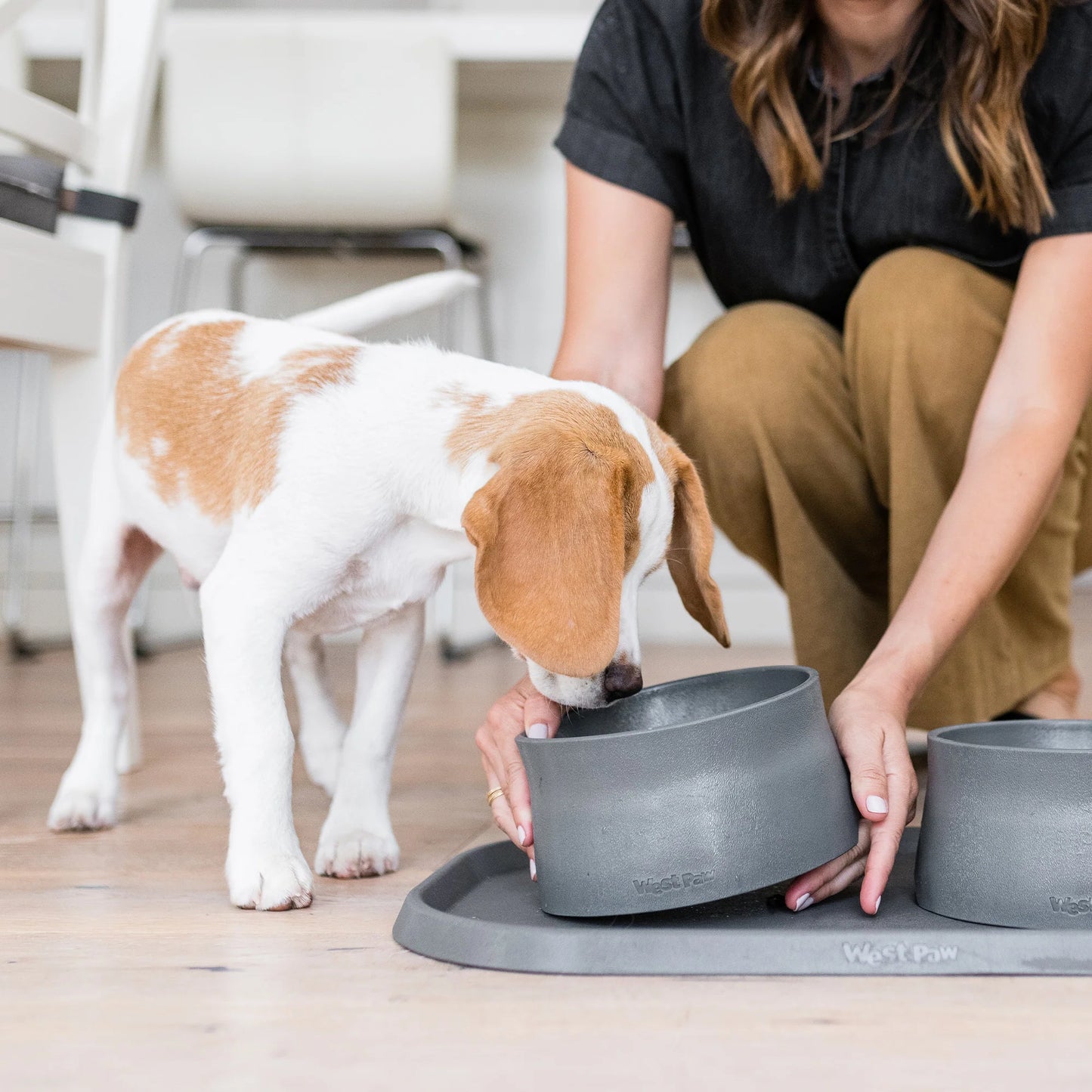 No Slip Dog Bowl