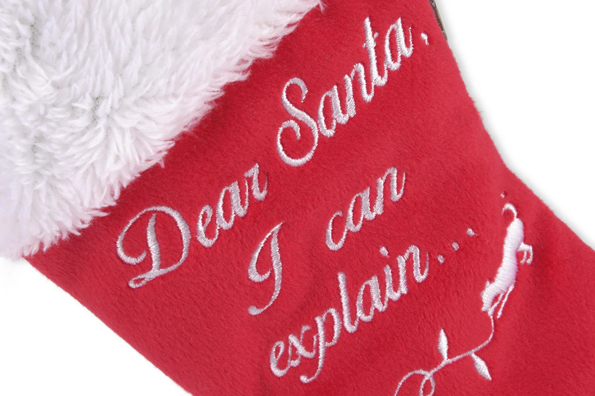 Holiday Stocking