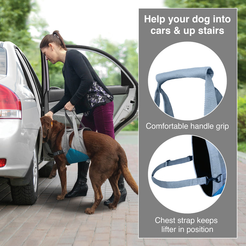 Up and About Dog Lifter