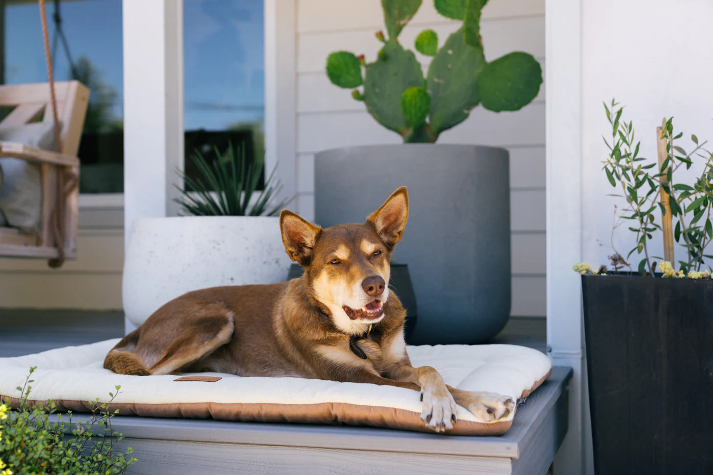 Dog Crate Pad