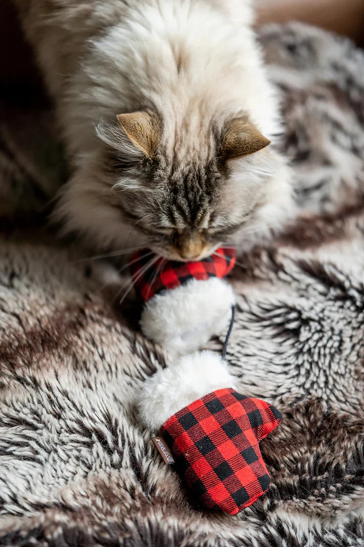 Kitten Mittens