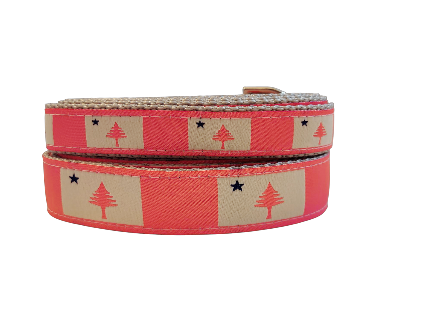 1” x 5ft Ribbon Dog Leash – 1820/1901 Maine Flag, Pink