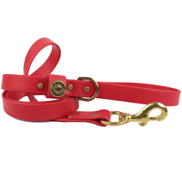 1" x 5ft Mudproof Dog Leash - Red