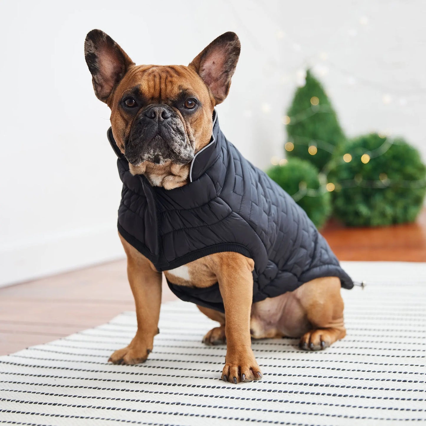 Reversible Dog Coat - Khaki
