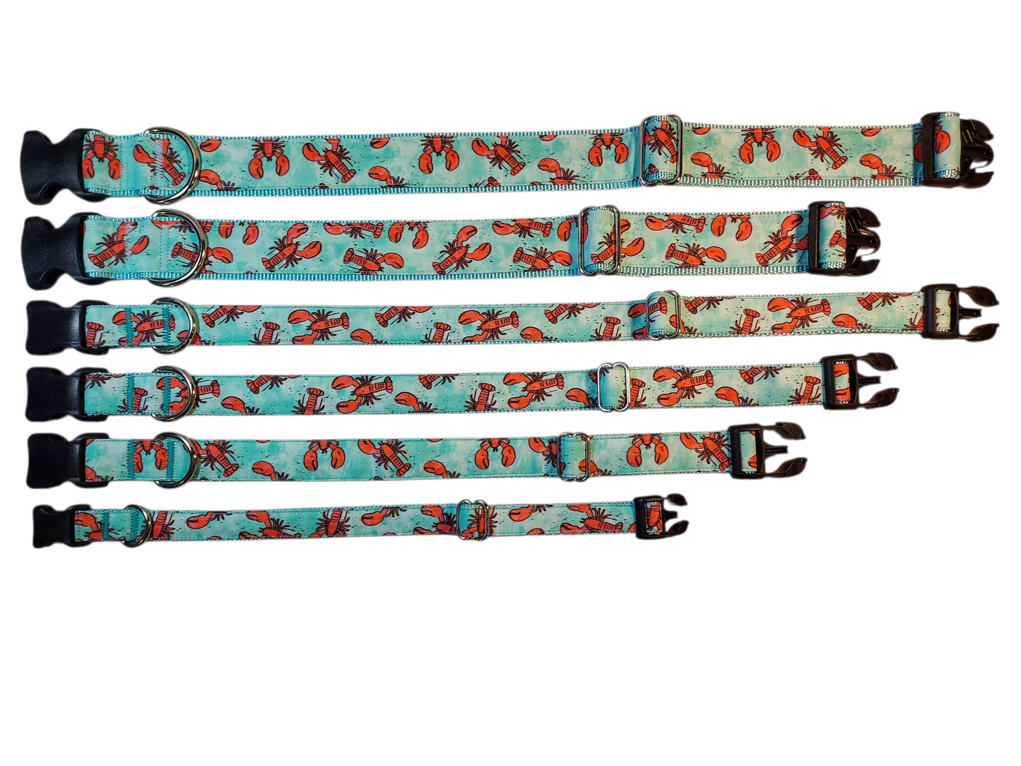 Ribbon Dog Collar – Aqua Lobster