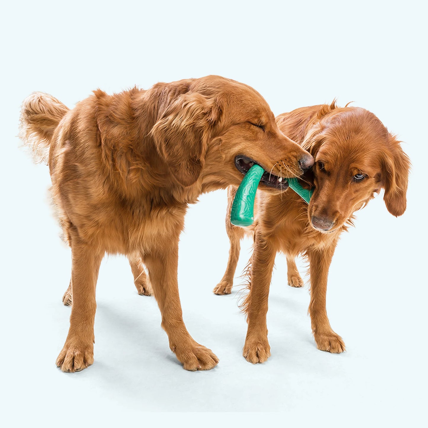 Dog Tug Toy - Snorkl