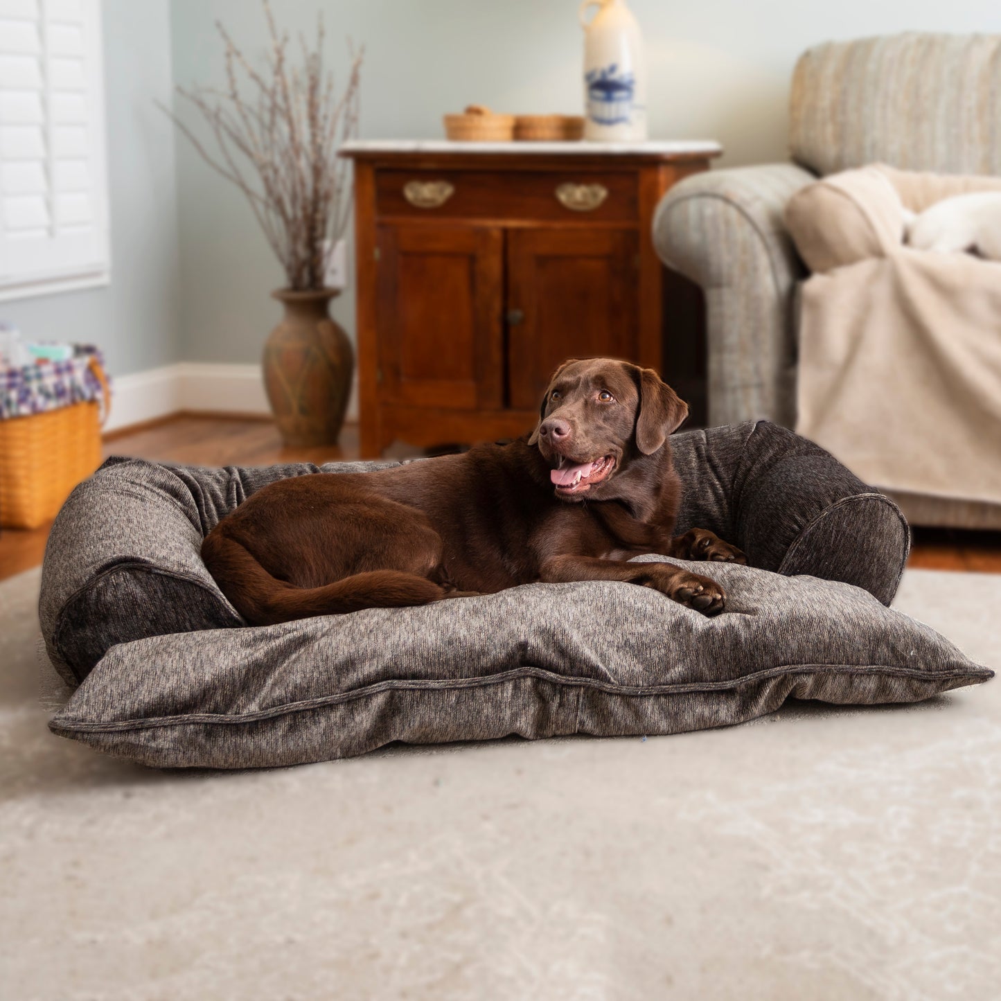Doggy Daybed