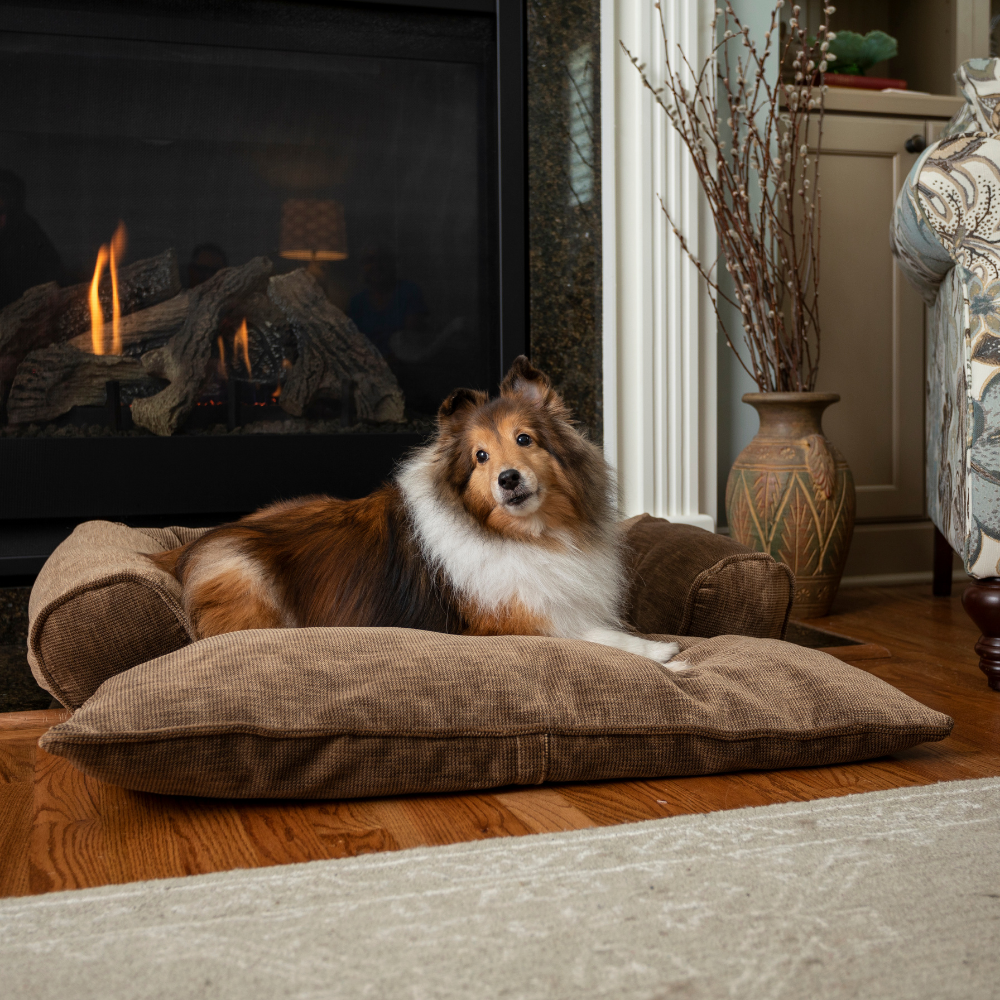 Doggy Daybed