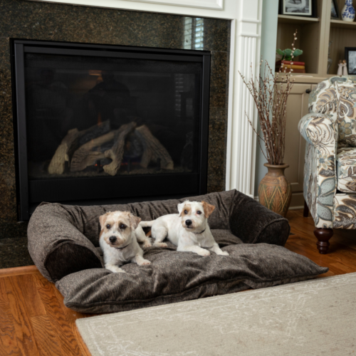 Doggy Daybed