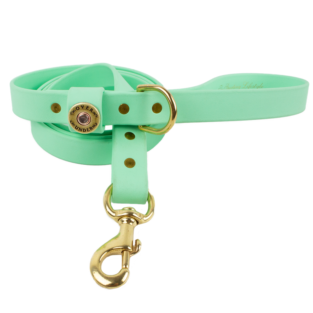 1" x 5ft Mudproof Dog Leash - Mint Green