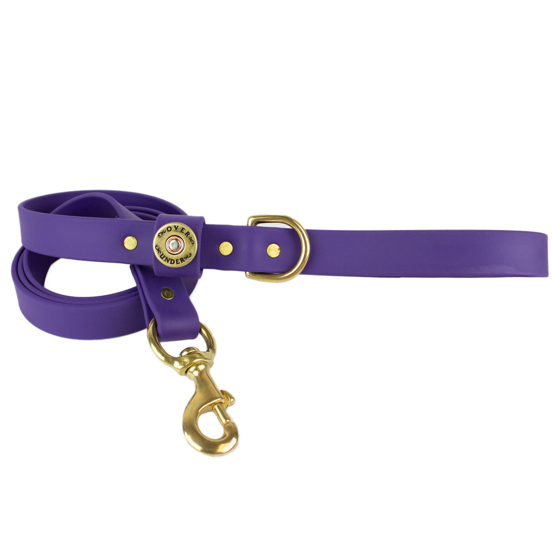 1" x 5ft Mudproof Dog Leash - Purple