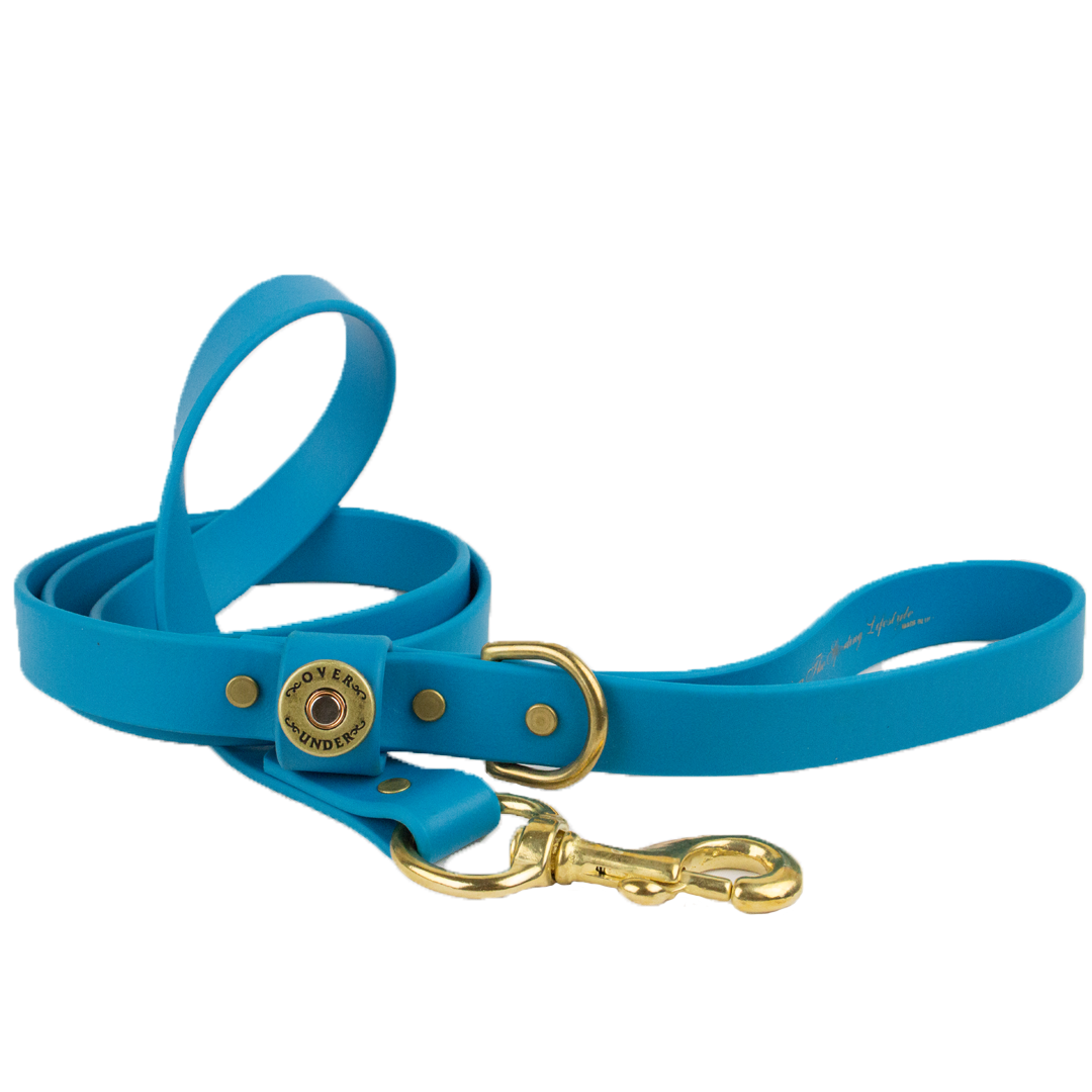 1" x 5ft Mudproof Dog Leash - Aqua