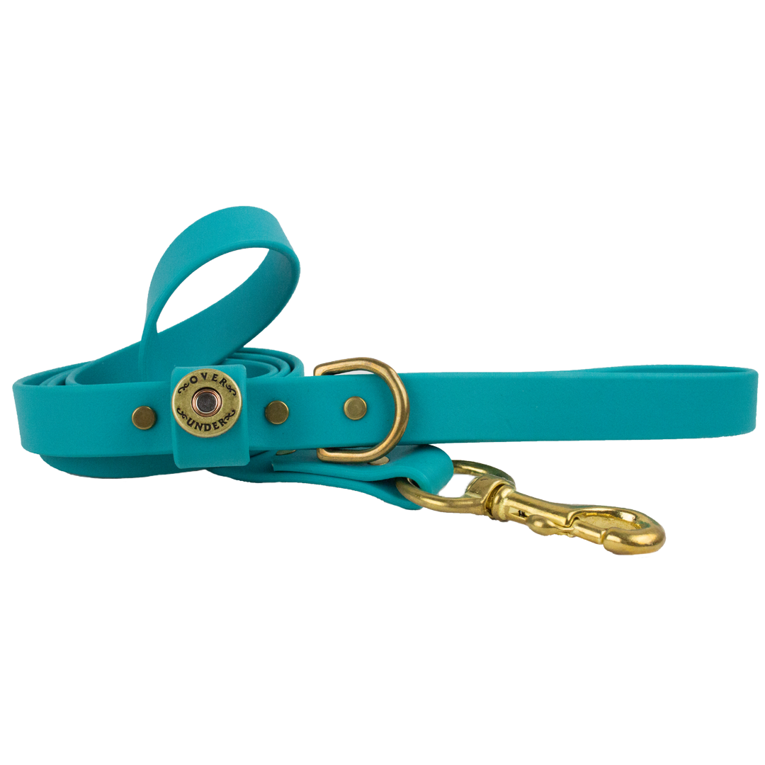 1" x 5ft Mudproof Dog Leash - Teal