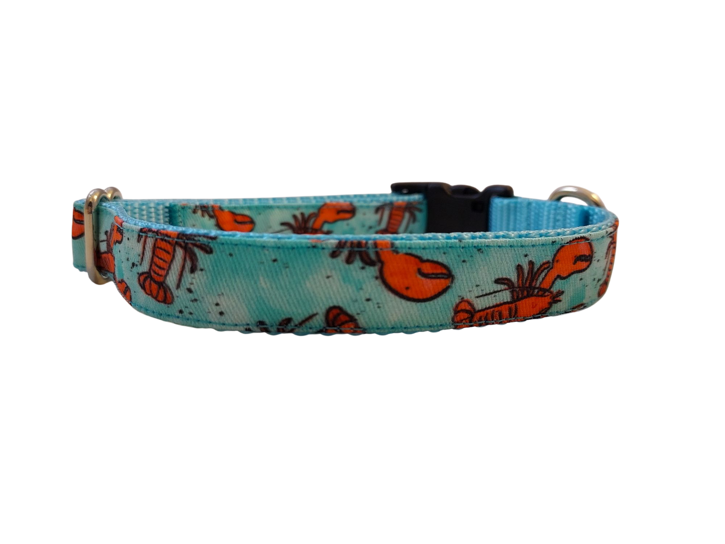 Ribbon Dog Collar – Aqua Lobster