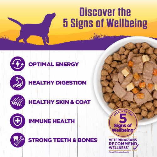 Wellness Wet Dog Food - Venison & Salmon Stew - 12.5oz