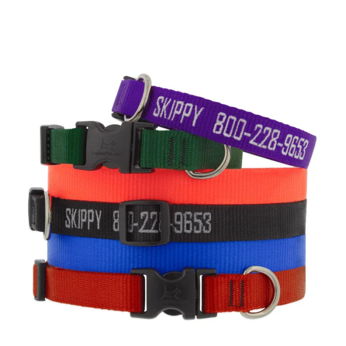 1/2” Nylon Dog Collar - 8"-12"