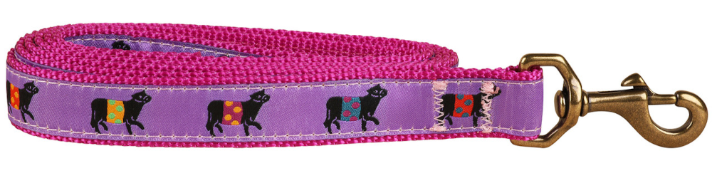 1” x 6ft Ribbon Dog Leash – Beltie, Purple