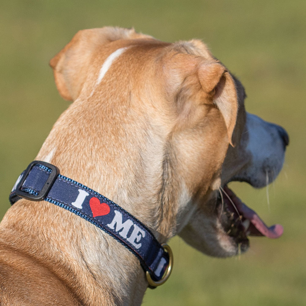 1” Ribbon Dog Collar – I Love ME