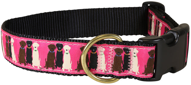 1.25” Ribbon Dog Collar – Three Labs, Pink