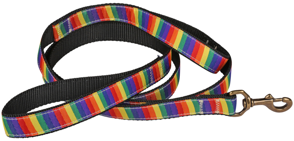 1” x 6ft Traffic Dog Leash – Rainbow
