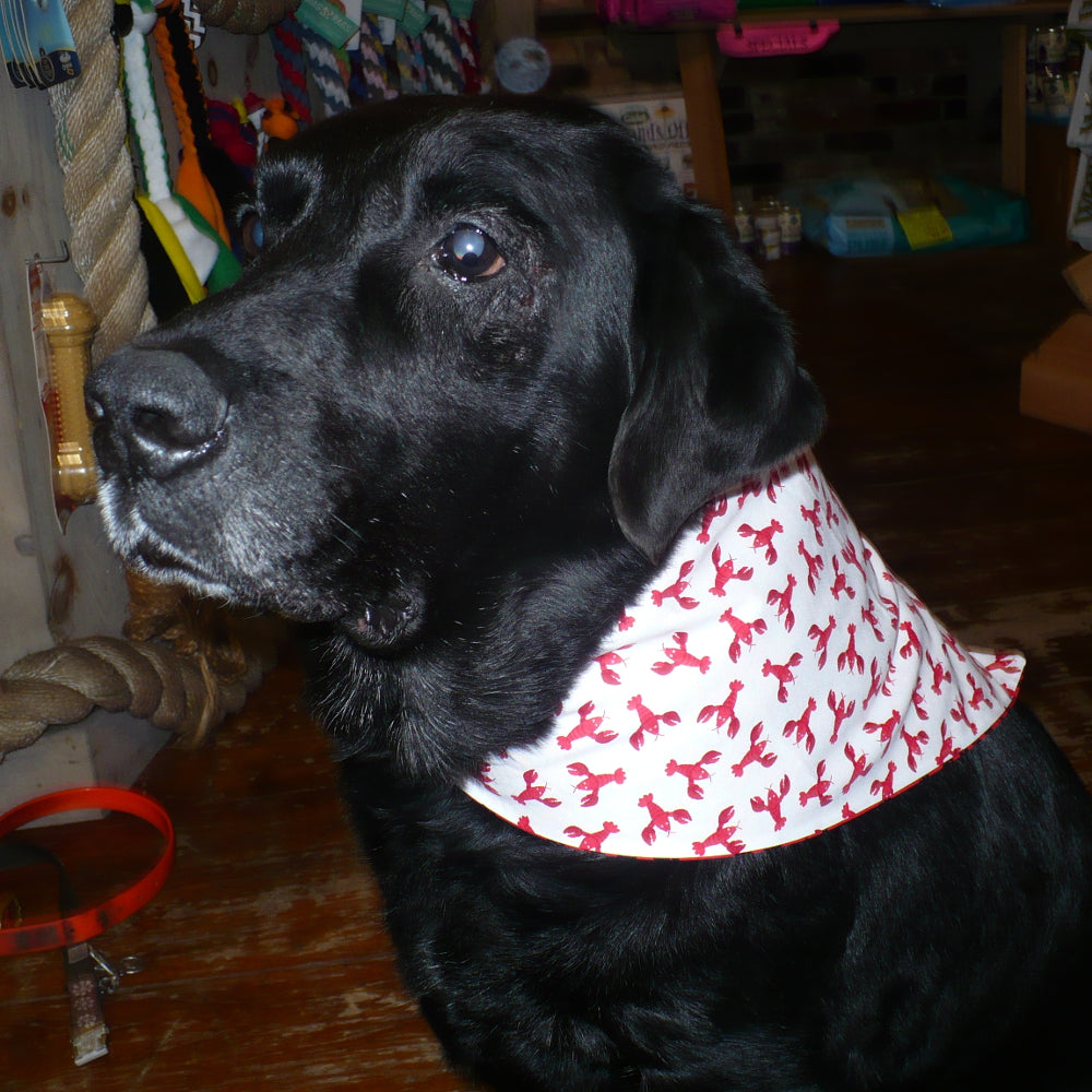 Reversible Dog Bandana - Small Red Lobsters