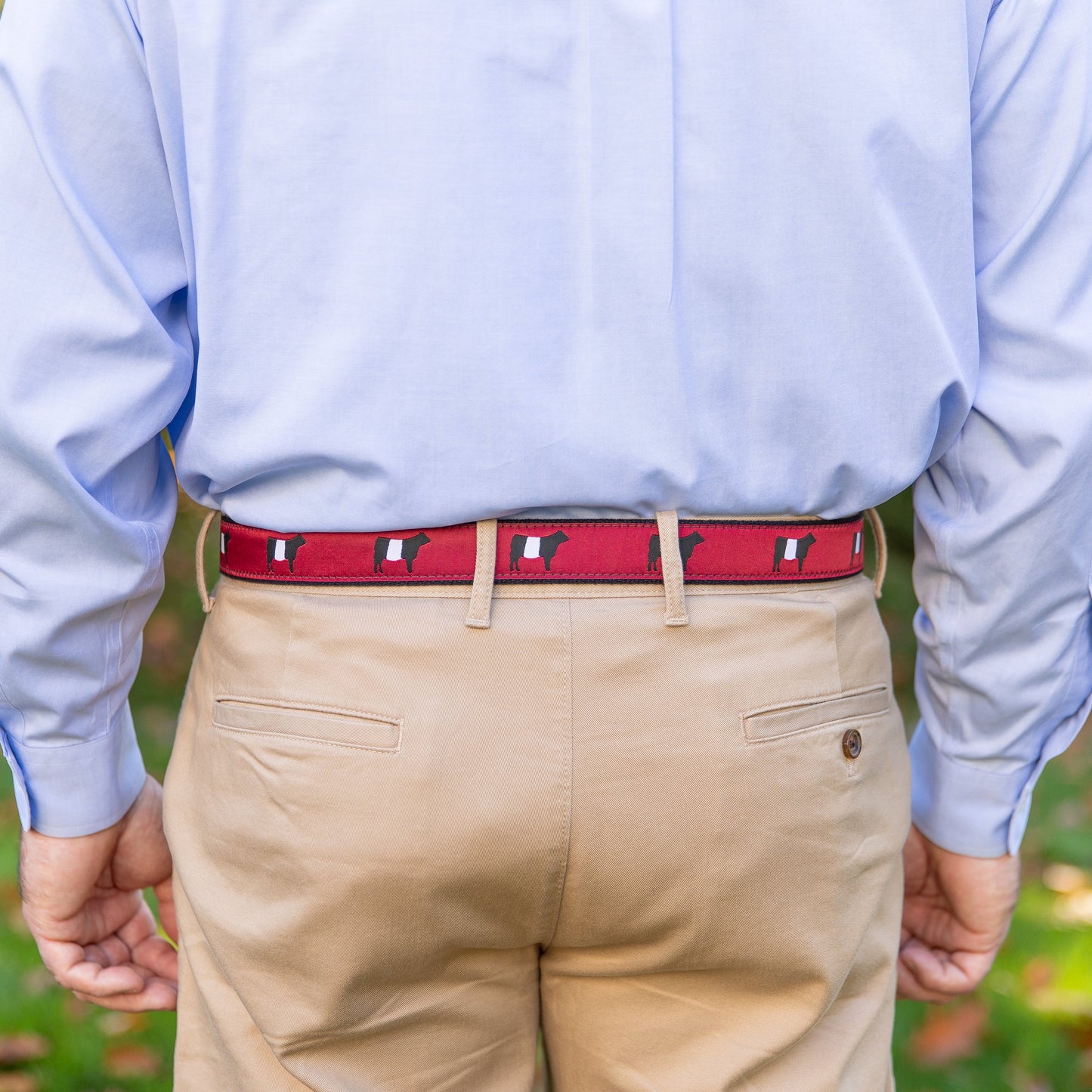 D-Ring Belt - Belted Galloway
