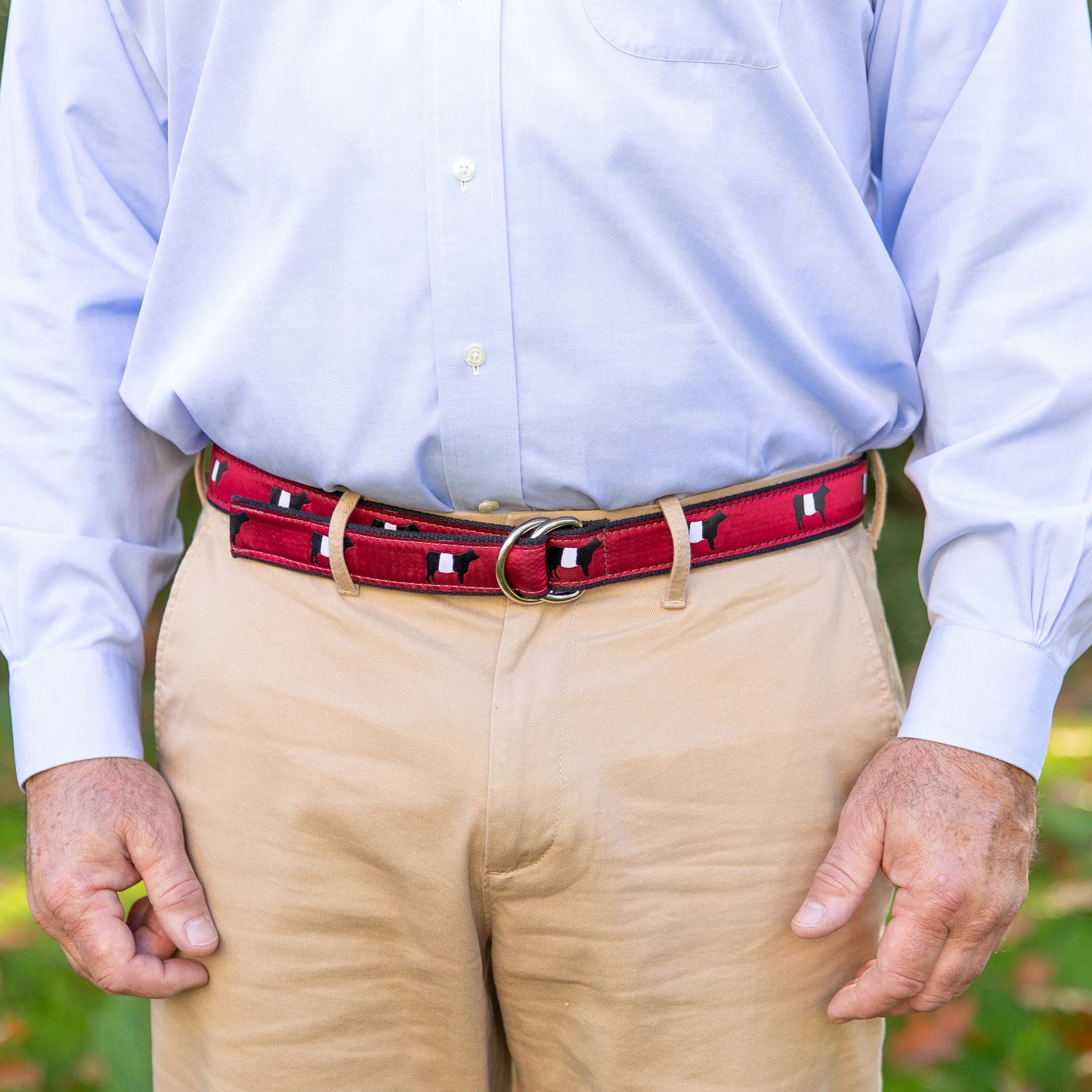 D-Ring Belt - Belted Galloway