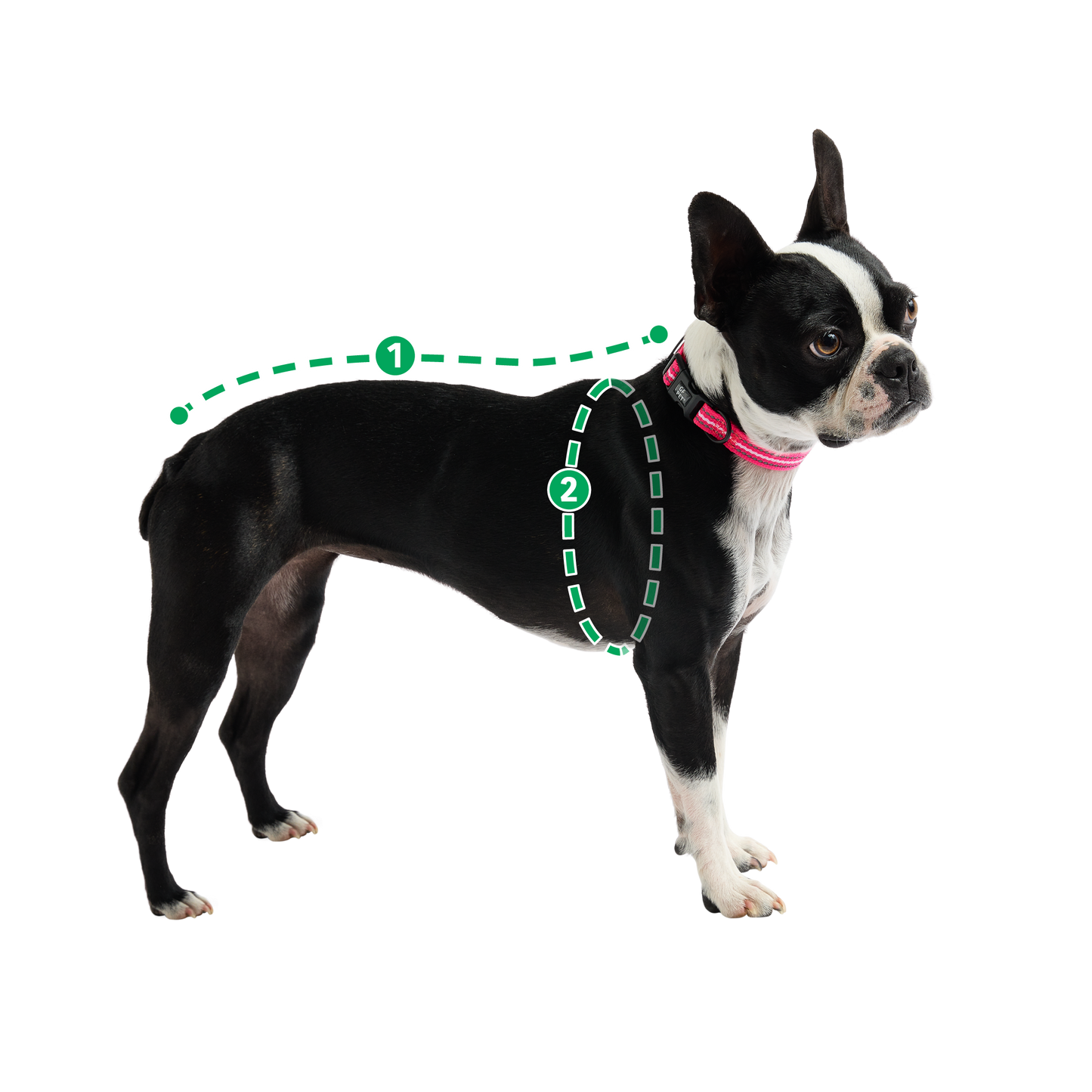 Reversible Dog Coat - Red