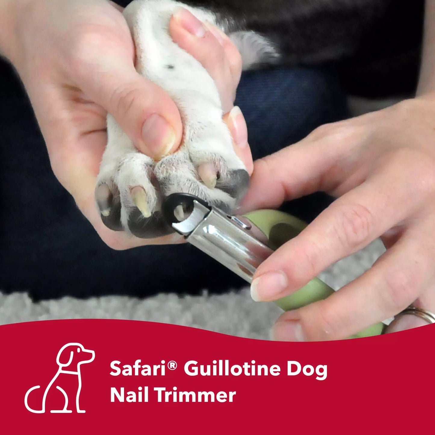 Guillotine Dog Nail Trimmer